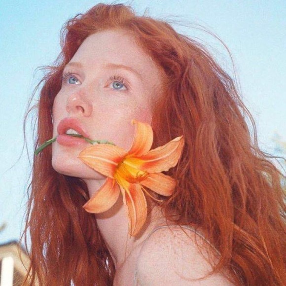 Meet your Posher, Bob - Picture 1 of 1